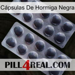 Cápsulas De Hormiga Negra 31